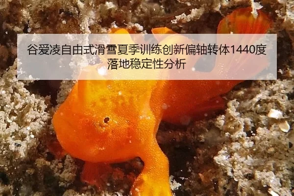 gu-ai-ling-zi-you-shi-hua-xue-xia-ji-xun-lian-chuang-xin-pian-zhou-zhuan-ti-du-luo-di-wen-ding-xing-fen-xi-3-854.jpg